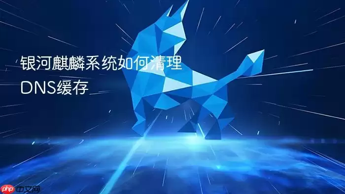 银河麒麟系统如何清理DNS缓存