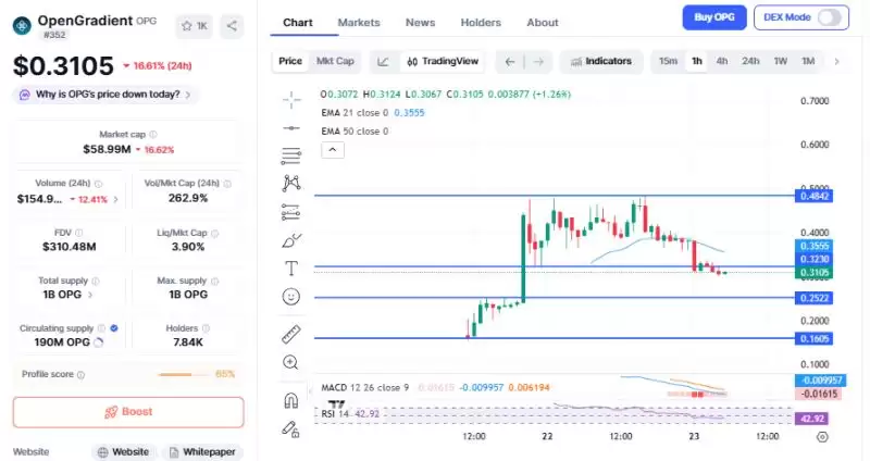 OPG 技术图表:回调后的关键支撑与阻力