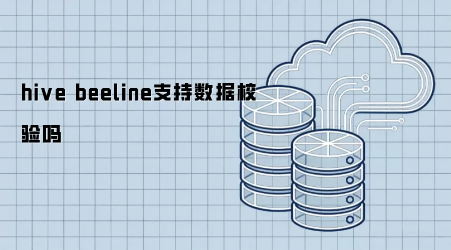 hive beeline支持数据校验吗