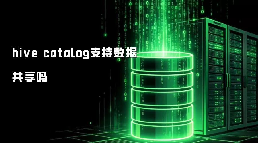 hive catalog支持数据共享吗