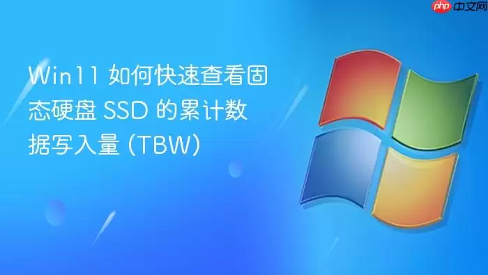 Win11 如何快速查看固态硬盘 SSD 的累计数据写入量 (TBW)