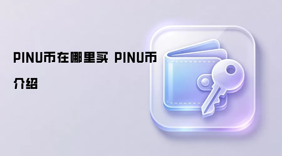 PINU币购买指南 PINU币投资价值分析