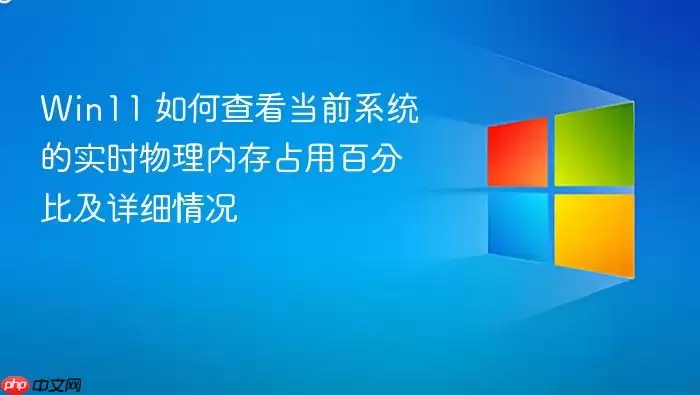 Win11 如何查看当前系统的实时物理内存占用百分比及详细情况