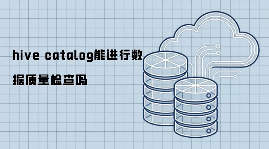hive catalog能进行数据质量检查吗