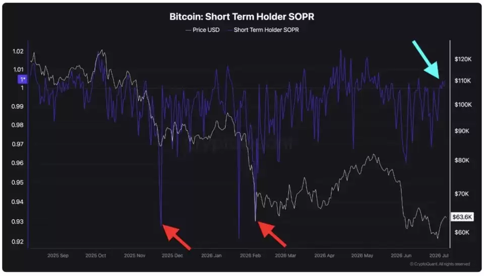 分析师称“教科书式比特币(BTC)底部”构建中 投机者动向成关键