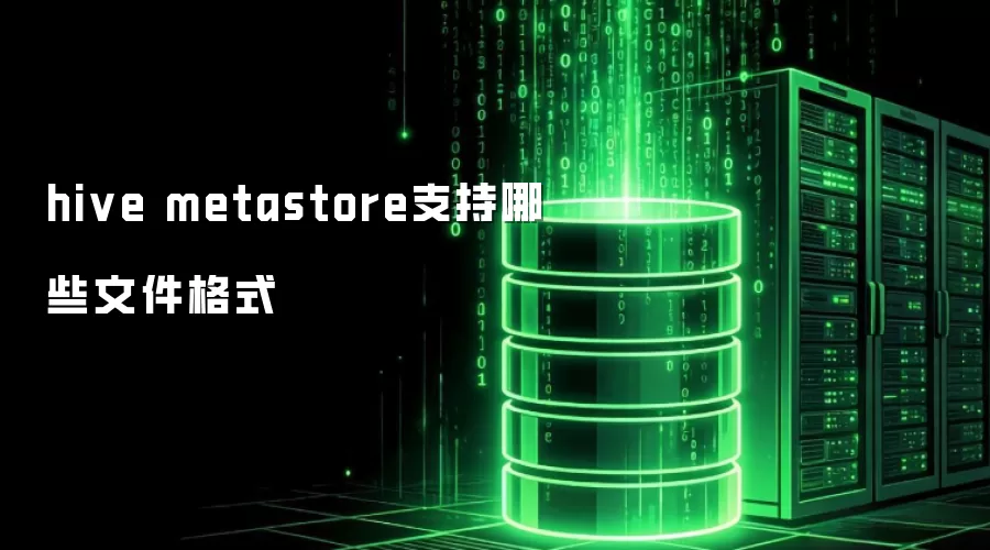 hive metastore支持哪些文件格式
