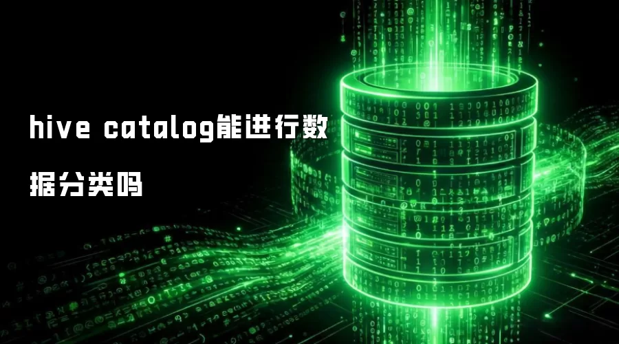hive catalog能进行数据分类吗