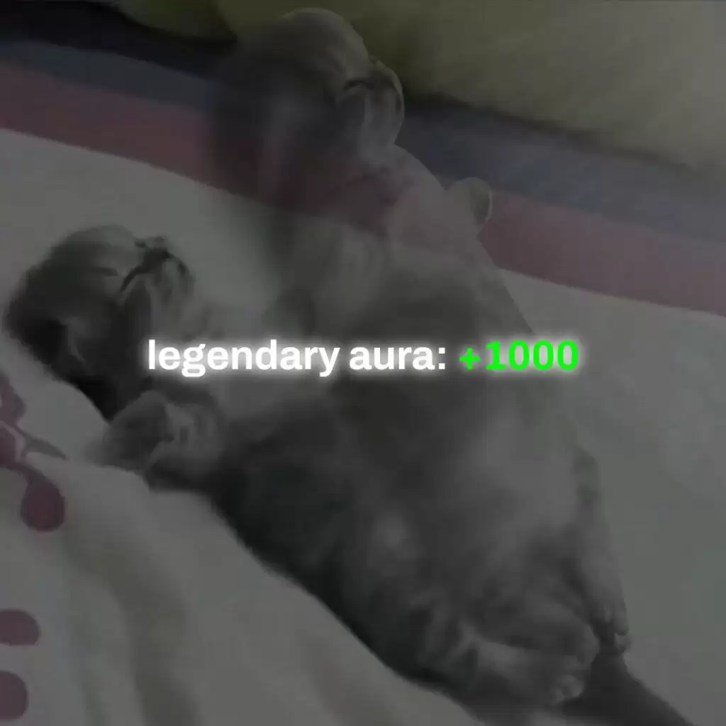 AURA币的起源:从奢侈品牌到病毒迷因