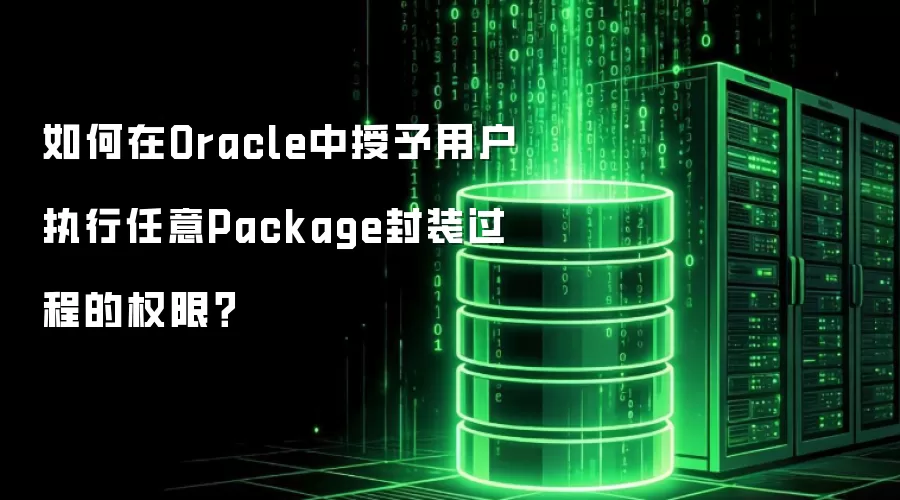 如何在Oracle中授予用户执行任意Package封装过程的权限？