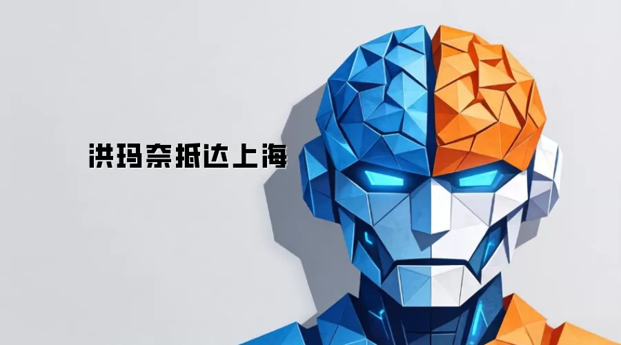 洪玛奈抵达上海