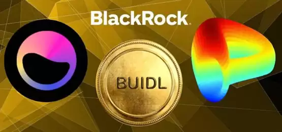 Curve与Elixir合作接入贝莱德BUIDL，推动RWA进入DeFi