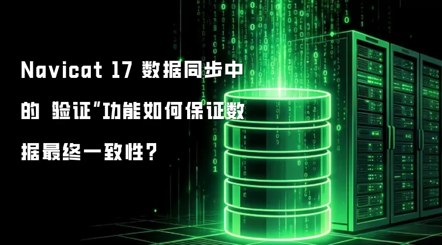 Na vicat 17 数据同步中的“验证”功能如何保证数据最终一致性？