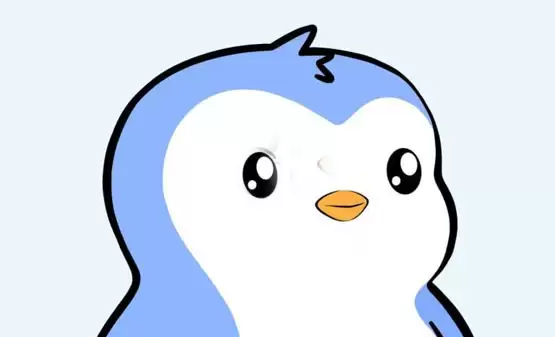Canary Capital申请胖企鹅代币PENGU结合NFT的ETF!加密货币业界反应两极