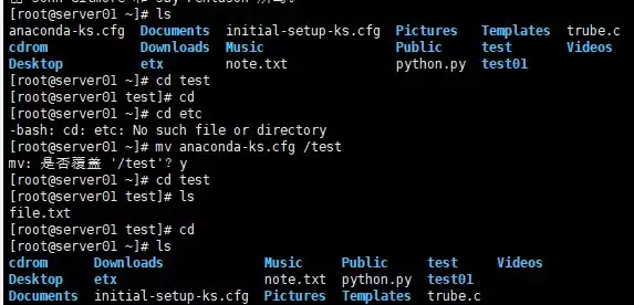 Linuxmv命令完全指南:用法详解与误删文件恢复策略