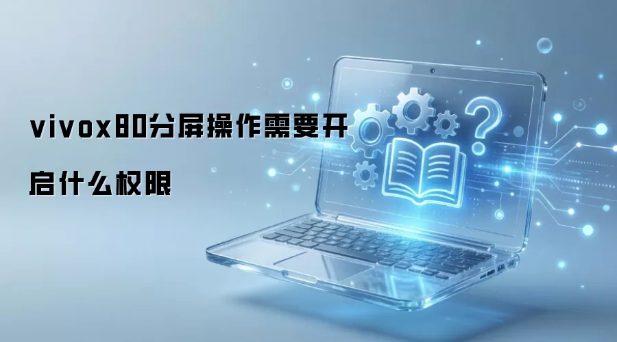 vivox80分屏操作需要开启什么权限