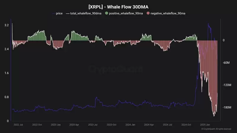 XRPL巨鲸资金流向图