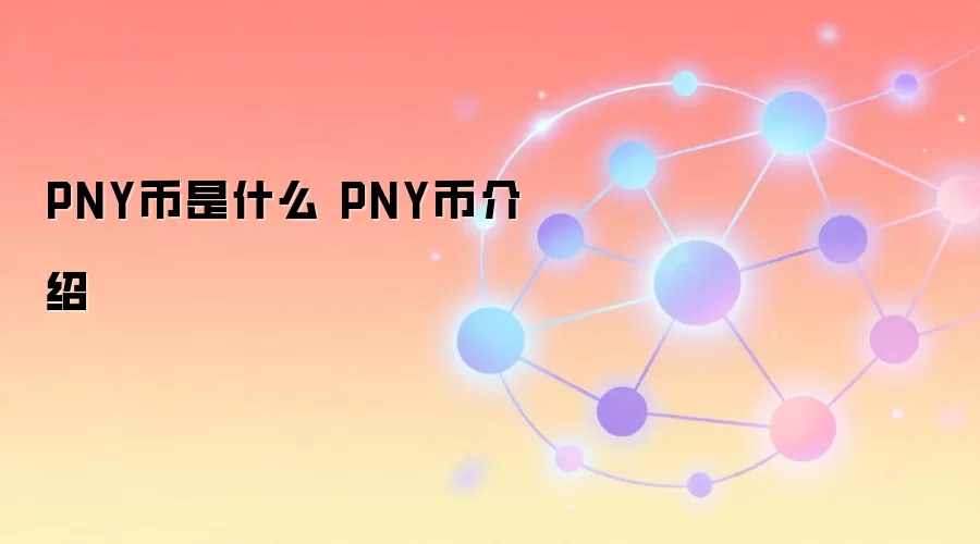 PNY币是什么 PNY币介绍