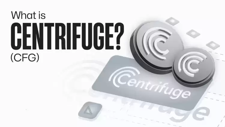 Centrifuge (CFG) 币全面介绍
