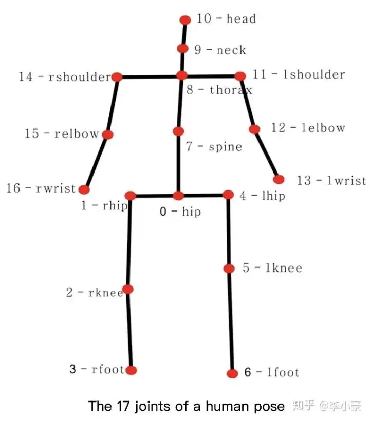 Human3.6M数据示例