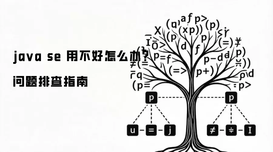 ja va se 用不好怎么办?问题排查指南