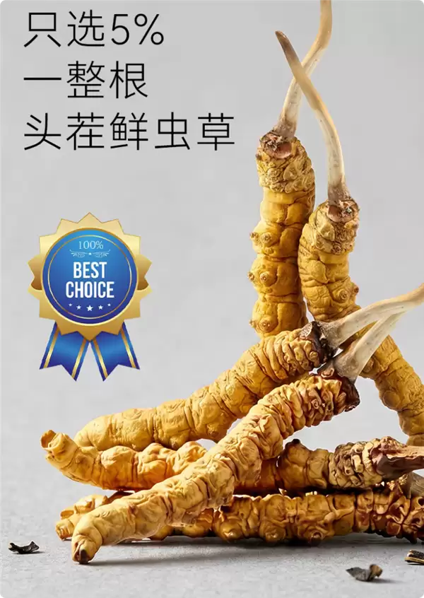 行业首创!京东京造上线“霜脆虫草” 开袋即食 口感酥脆