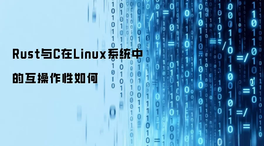 Rust与C在Linux系统中的互操作性如何