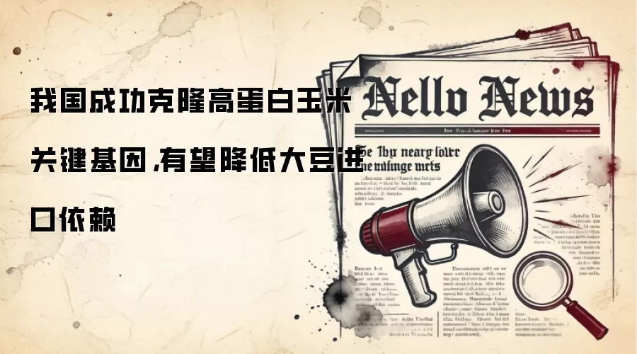 我国成功克隆高蛋白玉米关键基因,有望降低大豆进口依赖