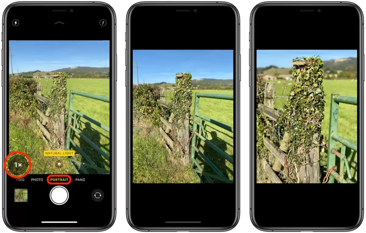 如何在 iPhone 11 Pro系列纵向拍摄模式下切换焦距? 如何在 iPhone 11 Pro系列纵向拍摄模式下切换焦距?
