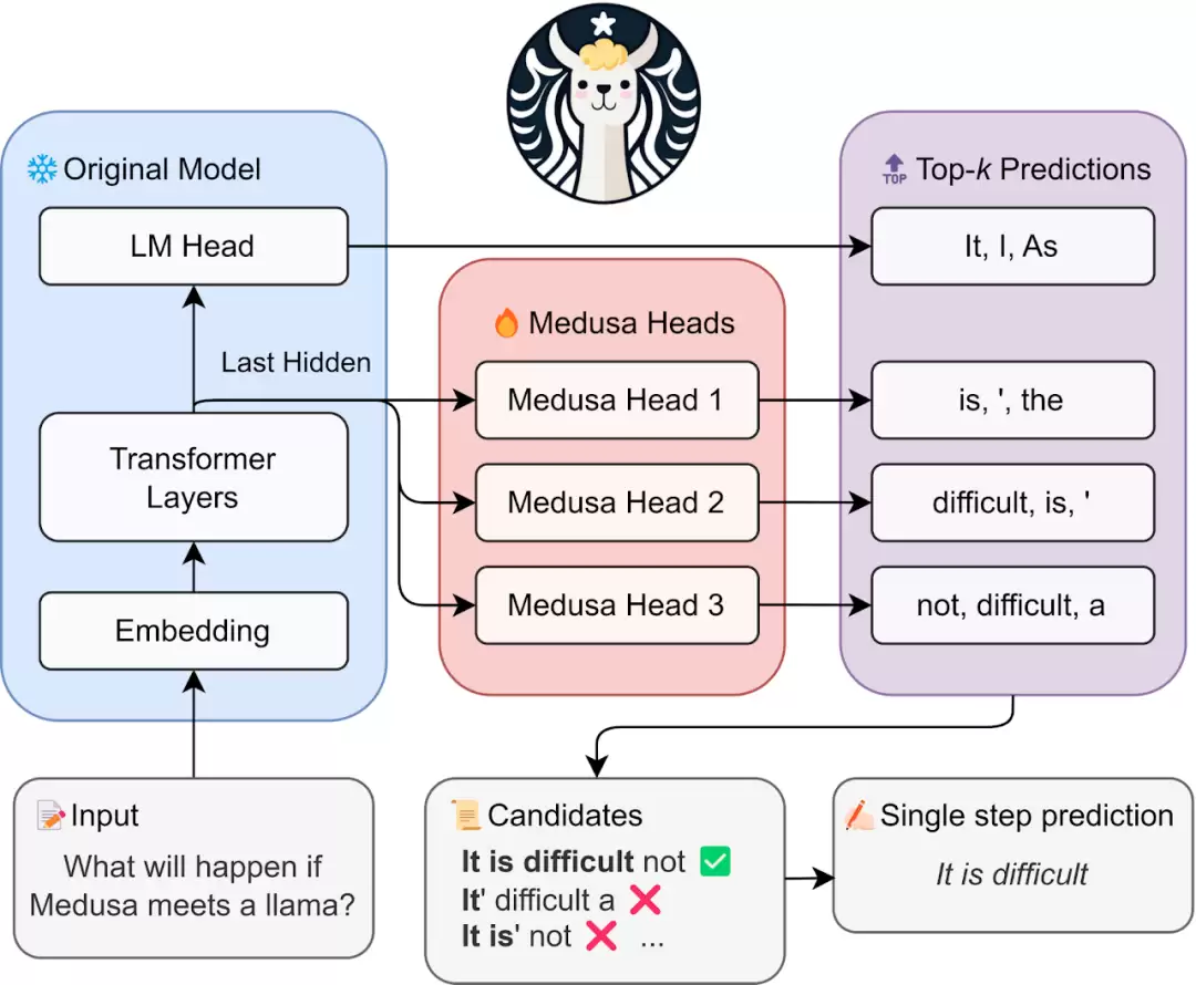 Medusa总体框架示意图