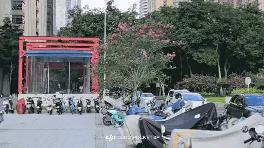 \ dji_export_20260702_151007_1782976207279_editor.2026-07-03 11_34_33.gif