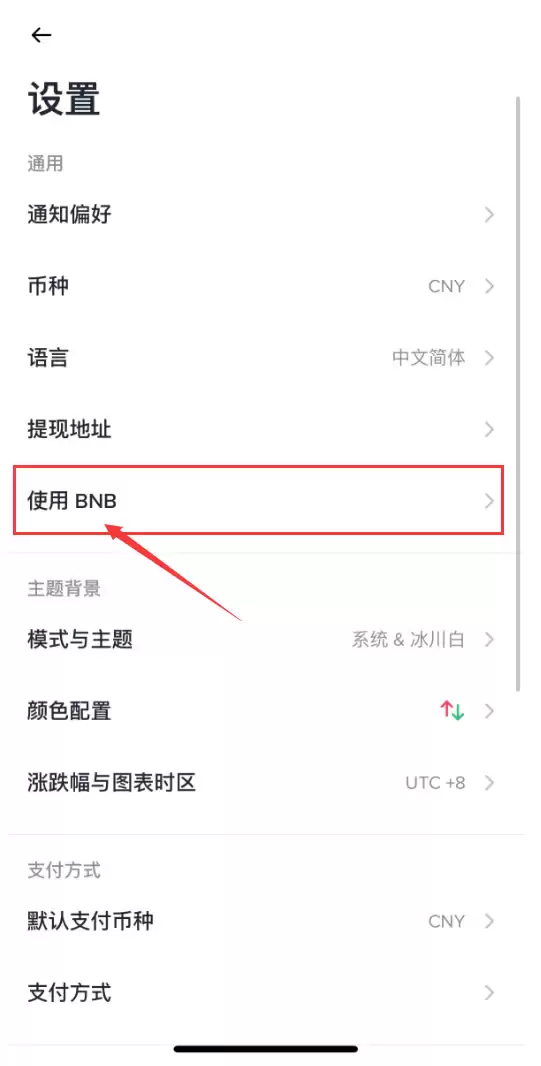 币安使用BNB选项