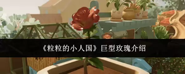 《粒粒的小人国》巨型玫瑰介绍