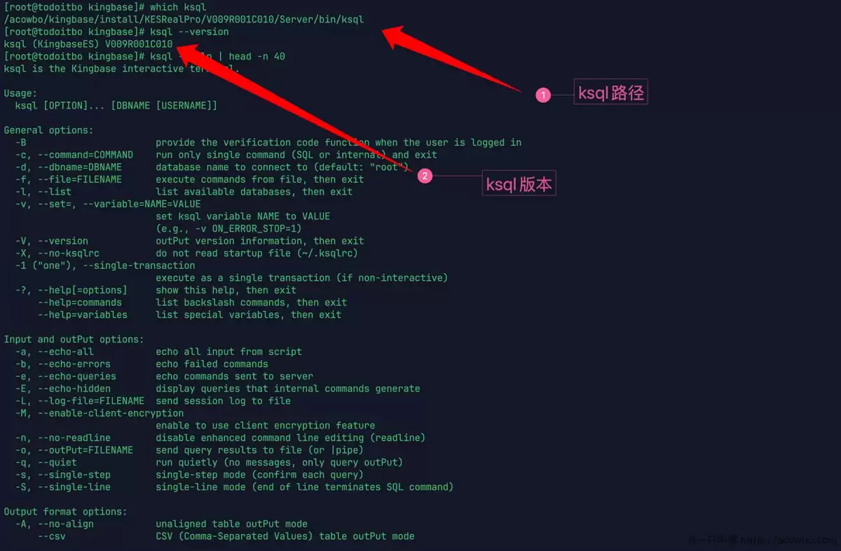mysql切到国产数据库KingbaseES后的SQL区别