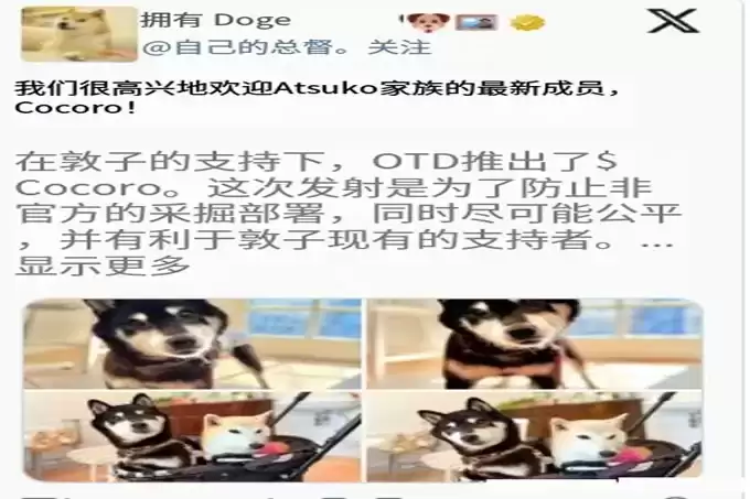 Doge主人新柴犬Cocoro代币COCORO引发社群热议