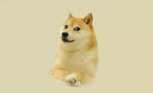 DOGE成交量逆势上升,跻身前20币种异动资产
