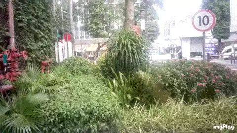 \ IMG_a3yryb.gif