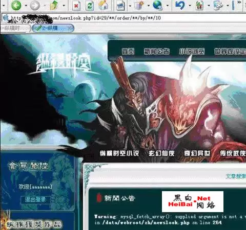 对纵横时空文学站的一次安全检测