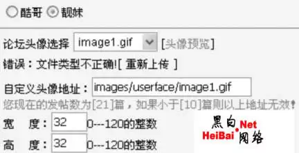 入侵超变态动网论坛实例（图）