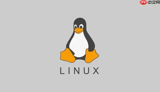 Linux怎么安装Jenkins_Linux Jenkins CI/CD安装配置教程【实战】