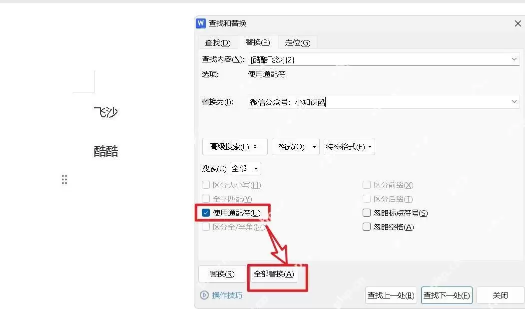 Word查找替换窗口界面