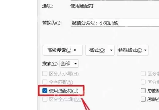 启用通配符的真实界面截图