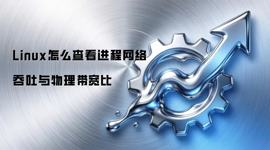 Linux怎么查看进程网络吞吐与物理带宽比