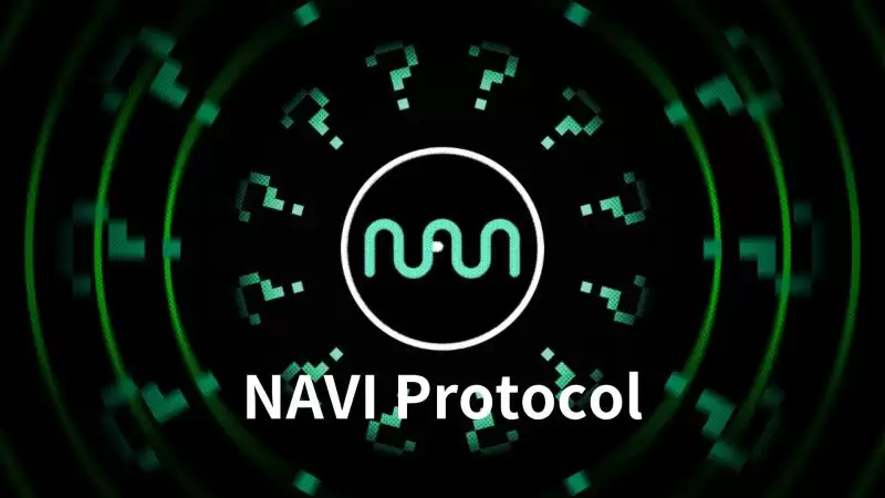 什么是NA VI Protocol?NA VX币价格预测及代币经济学