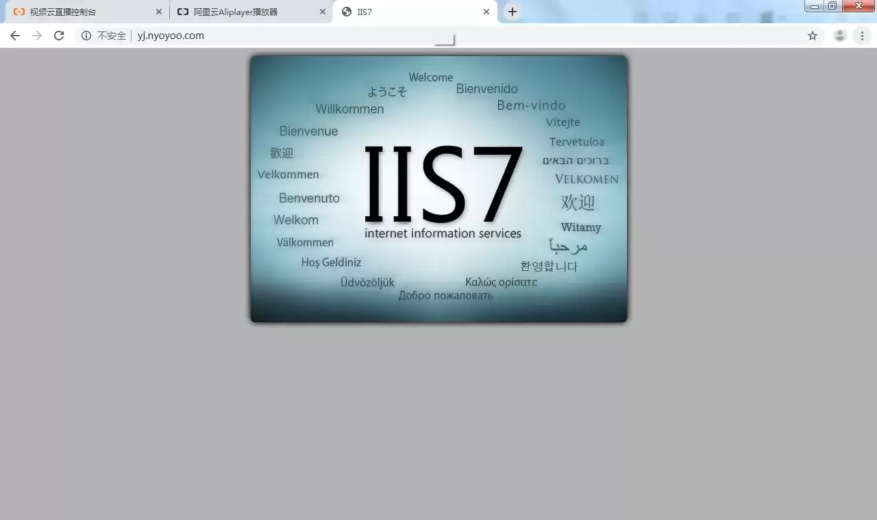 17 17