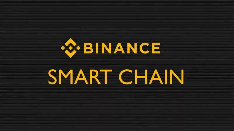BSC 币安智能链全解析:全面解读BSC特性、BEP-20、热门DApp