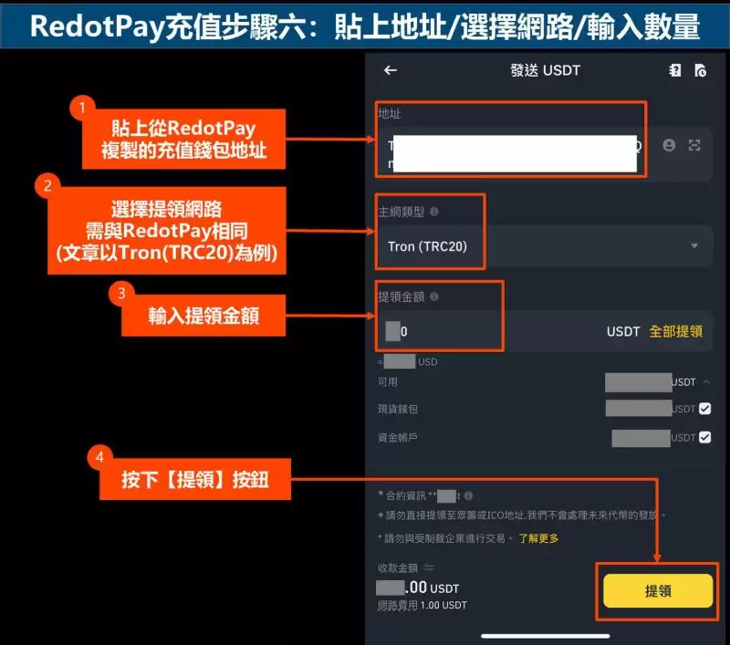 RedotPay充值步骤六:贴上地址-选择网路-输入数量