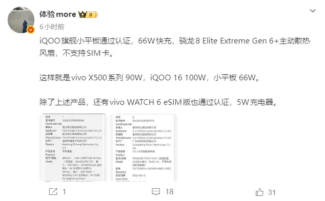 iQOO电竞小平板3C认证证书截图,显示型号为2026010902889661,支持66W快充