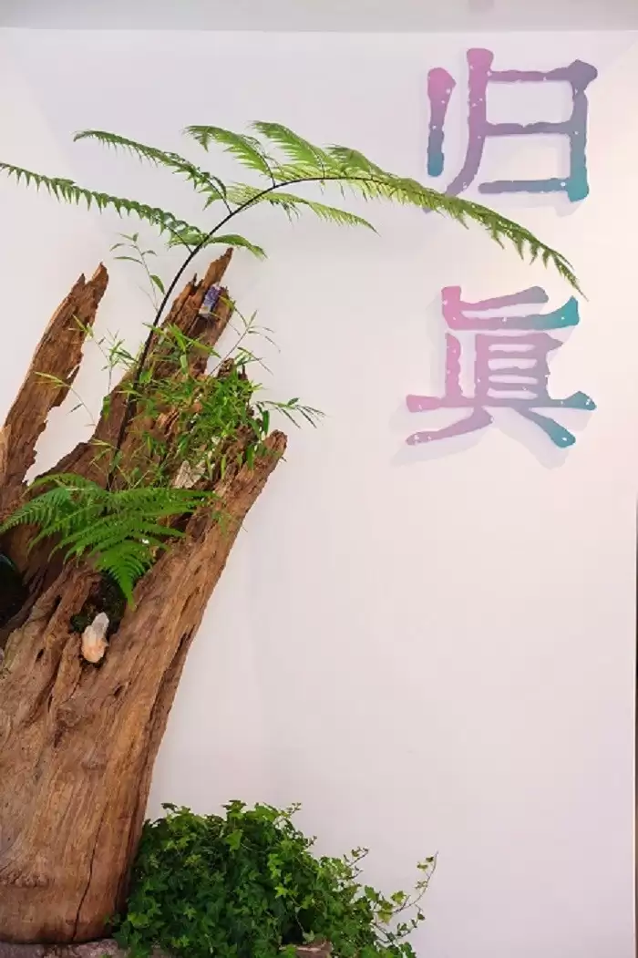 展览中的植物与晶石微景观细节,体现自然与艺术的融合