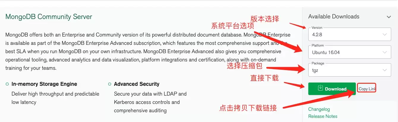 MongoDB 服务启动成功的日志输出，显示正在监听 127.0.0.1 和 /tmp/mongodb-27017.sock