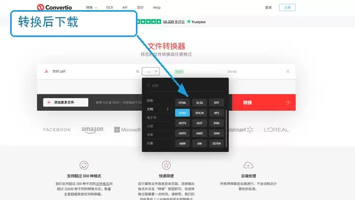 Online Converter转换完成后下载CAD文件的界面